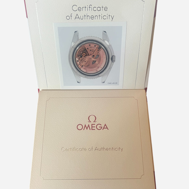 1969 Omega Seamaster 300 (Ref. 165.024)